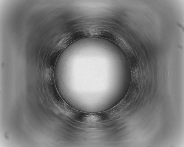 X0000093380218200710251224