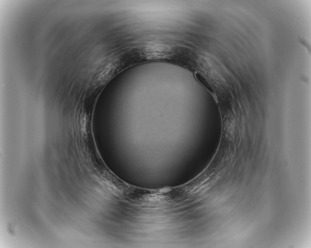 X0000093380219200710251224