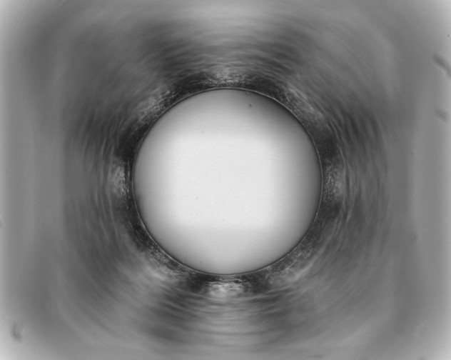 X0000093380220200710251224