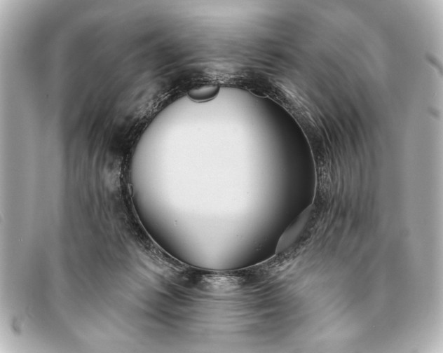 X0000093380221200710251224