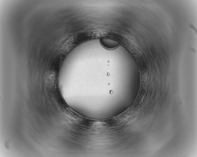 X0000093380222200710251224