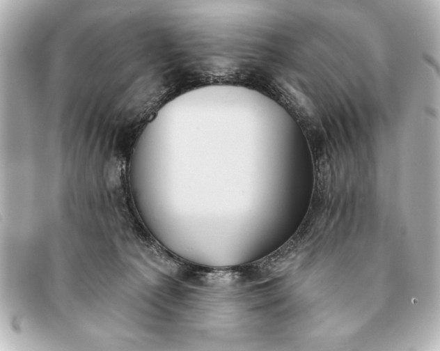 X0000093380225200710251224