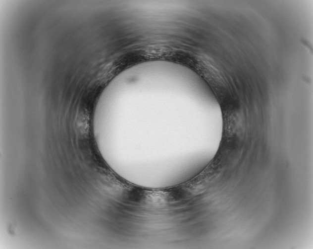 X0000093380226200710251224