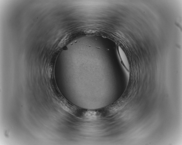 X0000093380227200710251224