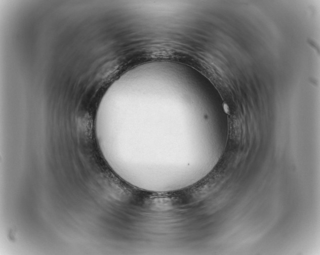 X0000093380228200710251224