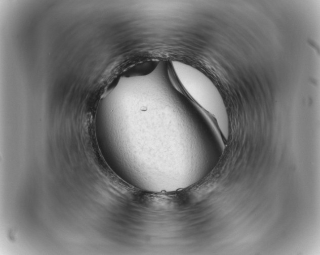 X0000093380229200710251224