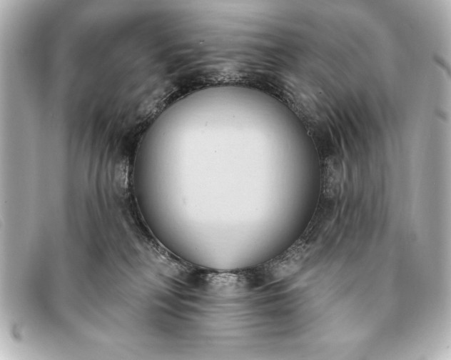 X0000093380230200710251224