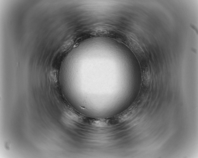 X0000093380232200710251224