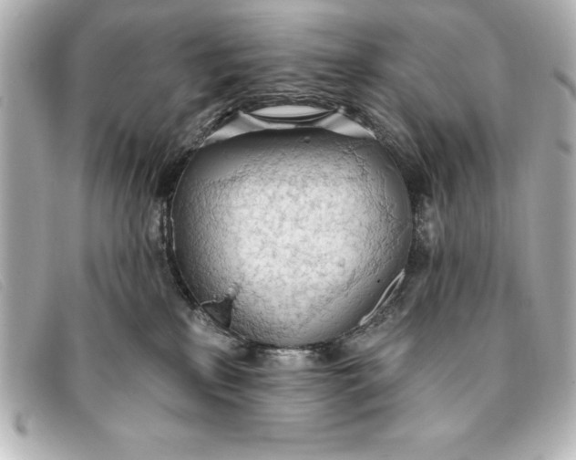 X0000093380233200710251224