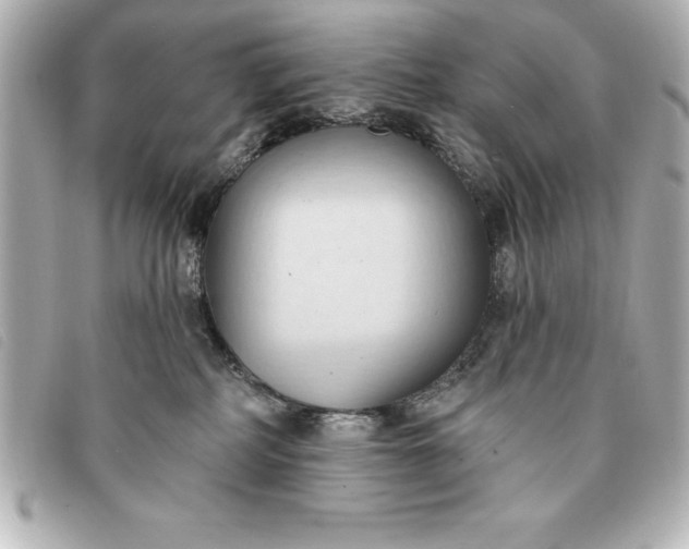 X0000093380234200710251224