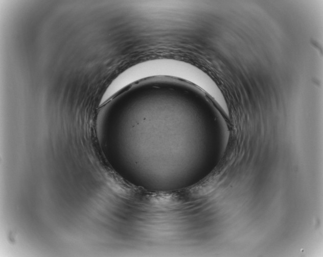 X0000093380235200710251224