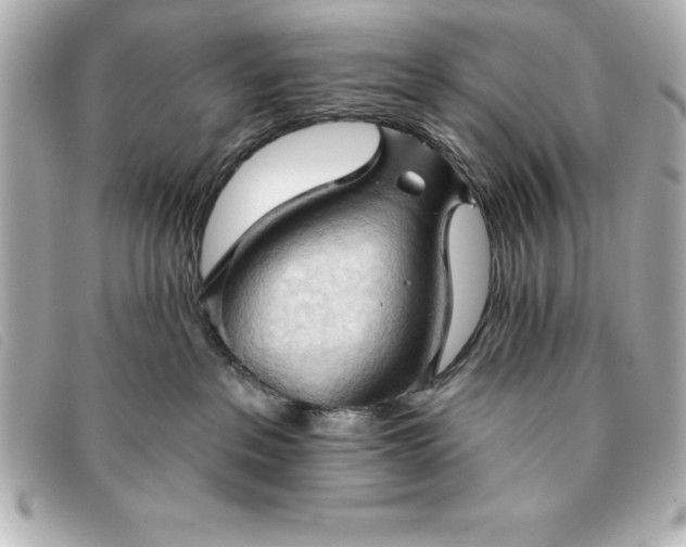 X0000093380237200710251224