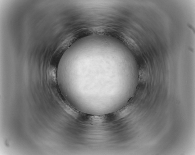 X0000093380238200710251224