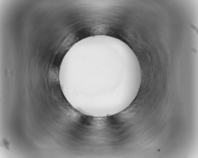 X0000093380240200710251224