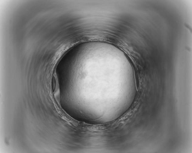 X0000093380241200710251223