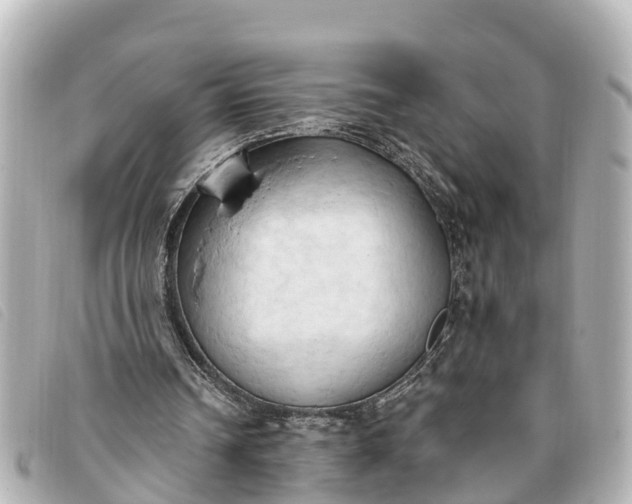 X0000093380242200710251223