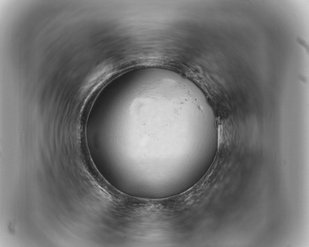 X0000093380243200710251223