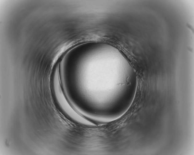 X0000093380244200710251223