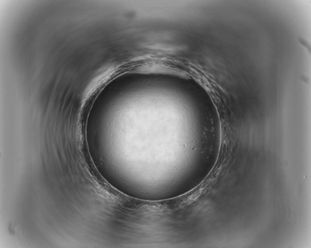 X0000093380245200710251223