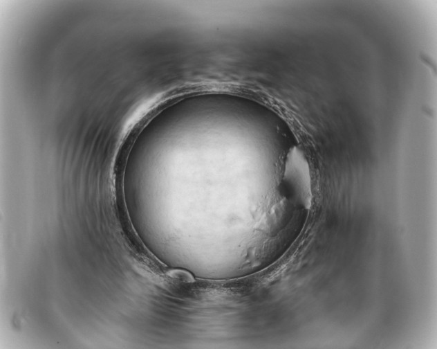 X0000093380246200710251223