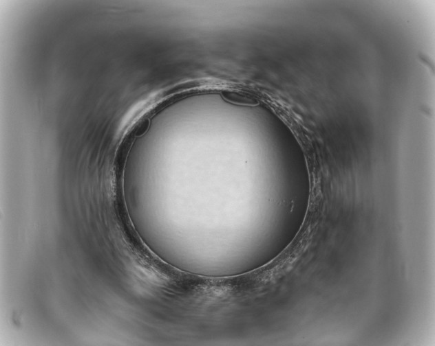 X0000093380247200710251223