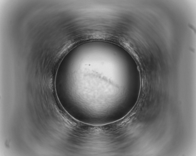 X0000093380249200710251223