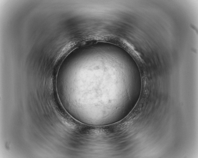 X0000093380250200710251223