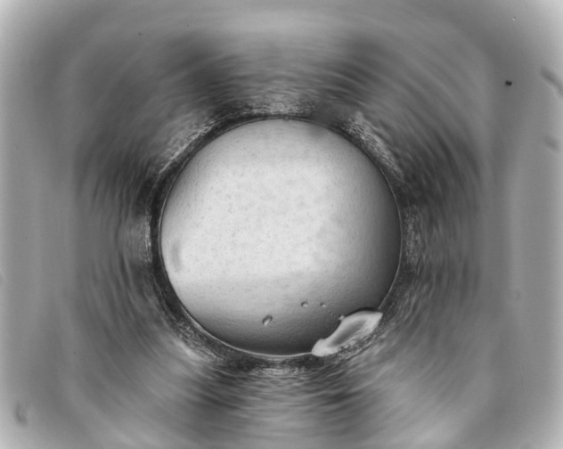 X0000093380251200710251223