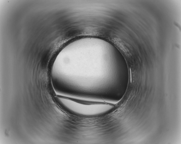 X0000093380252200710251224