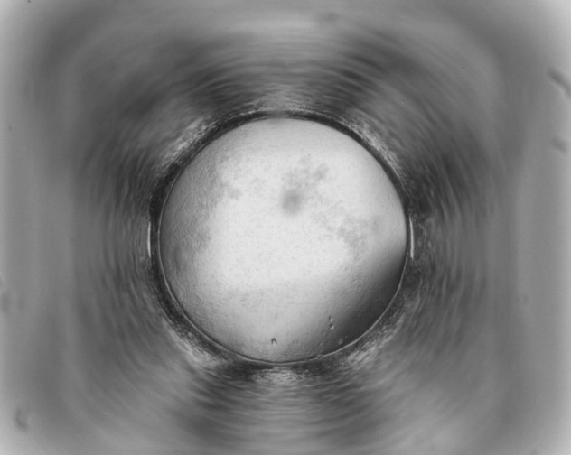 X0000093380253200710251224