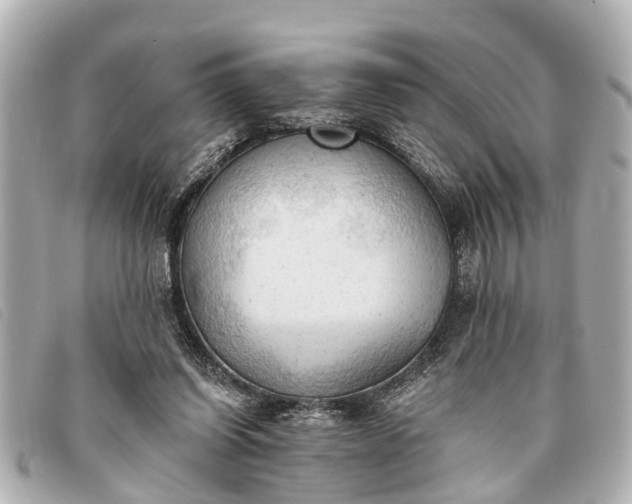 X0000093380254200710251224