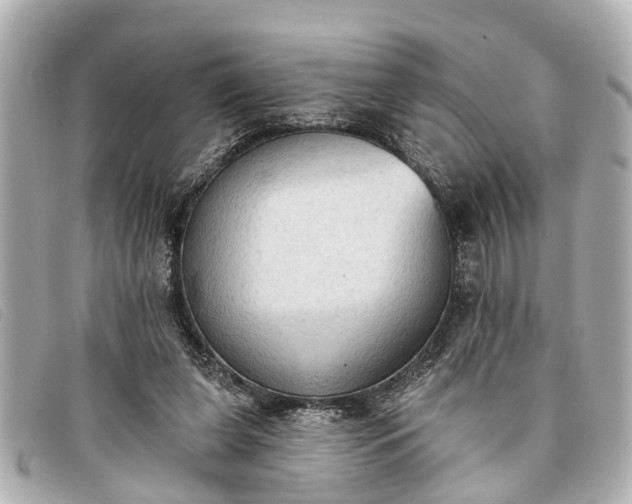 X0000093380255200710251224