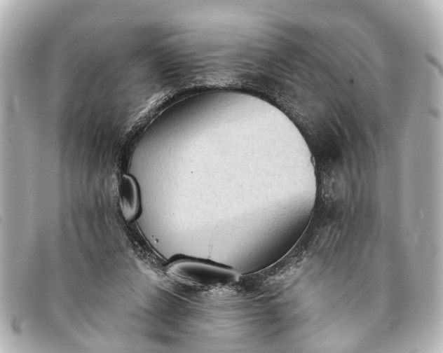 X0000093380256200710251224