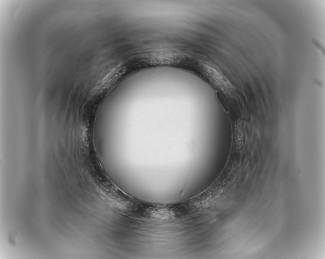 X0000093380258200710251224