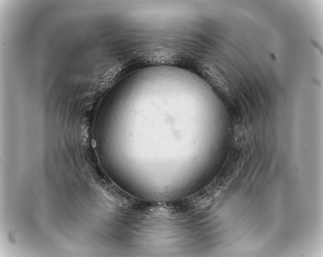 X0000093380259200710251224