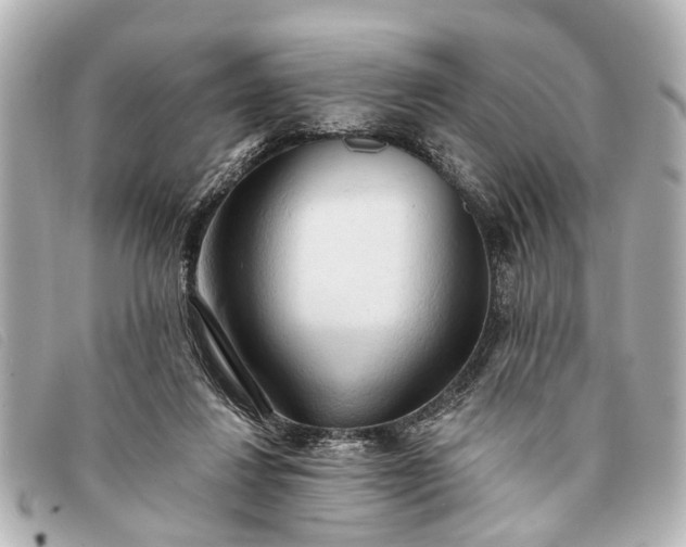 X0000093380260200710251224