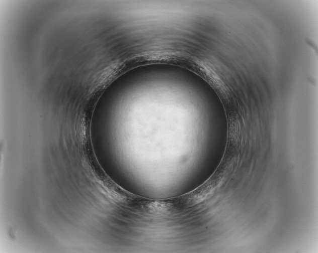 X0000093380261200710251224