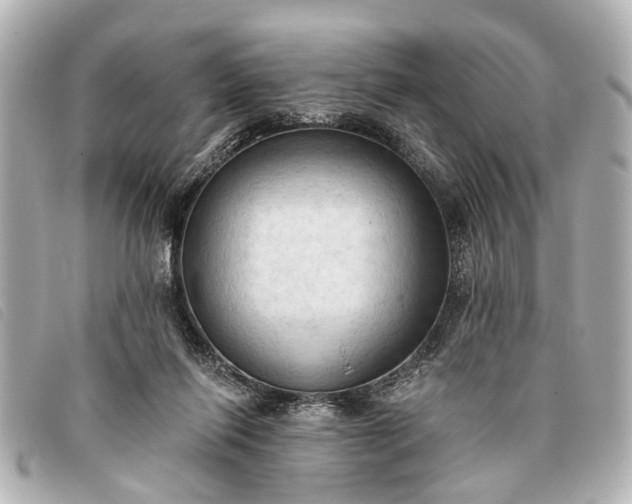 X0000093380262200710251224