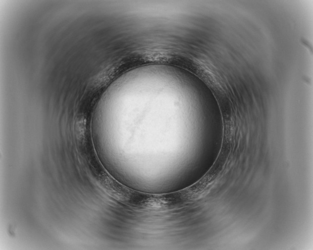 X0000093380263200710251224