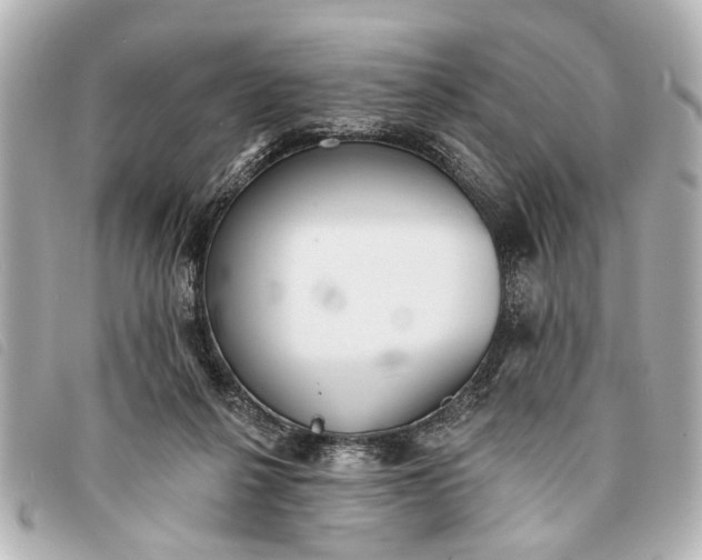 X0000093380264200710251224