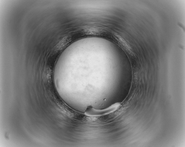 X0000093380265200710251224