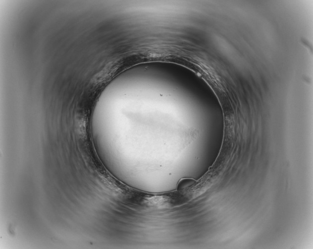 X0000093380269200710251224