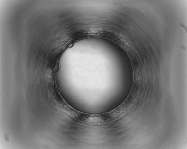 X0000093380270200710251224