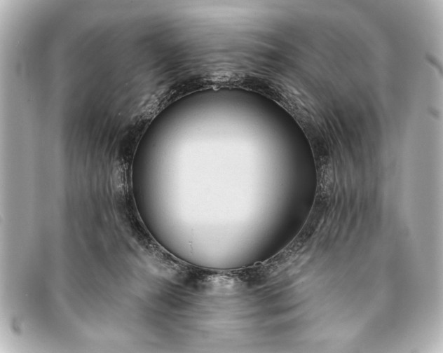 X0000093380272200710251224