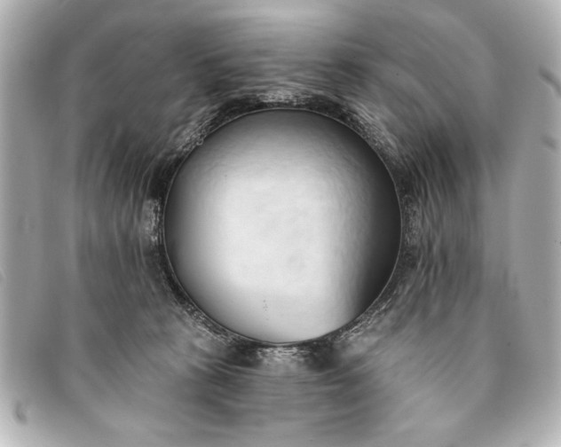 X0000093380273200710251224