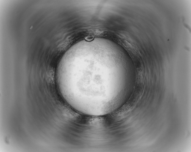 X0000093380274200710251224