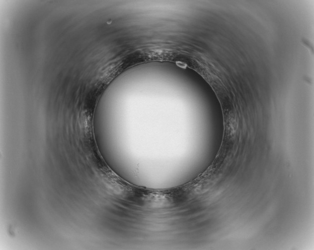 X0000093380276200710251224