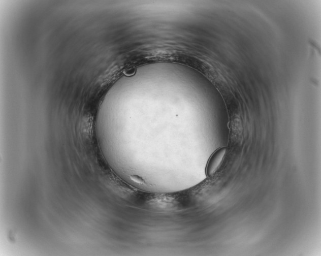 X0000093380278200710251224