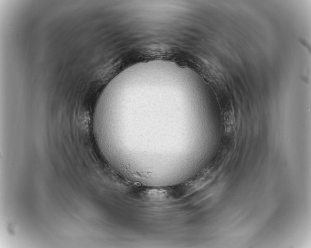 X0000093380279200710251224