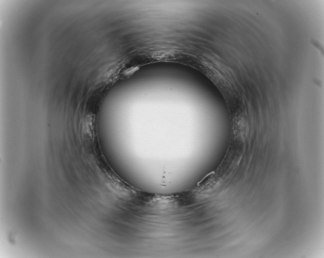 X0000093380280200710251224